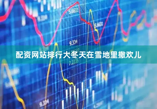 配资网站排行大冬天在雪地里撒欢儿